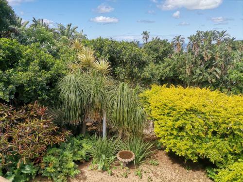 Apartamento Ridgeview Holiday Accommodation
