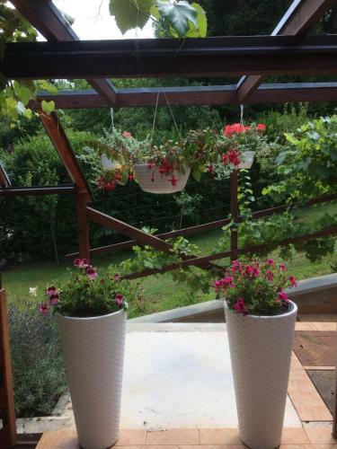 Hostal Vila Lisina