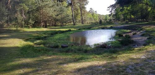 Vakantiehuis Op De Veluwe