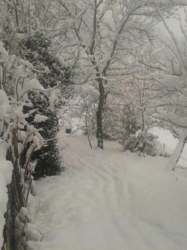 Apartamentos Chalet Zenarcs