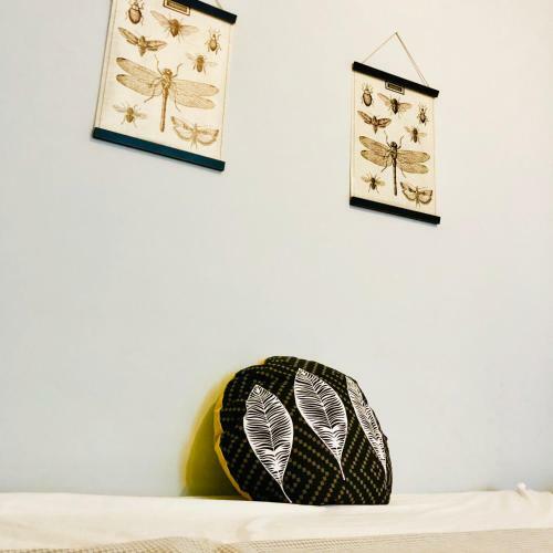 Apartamento Golden Wave Surf
