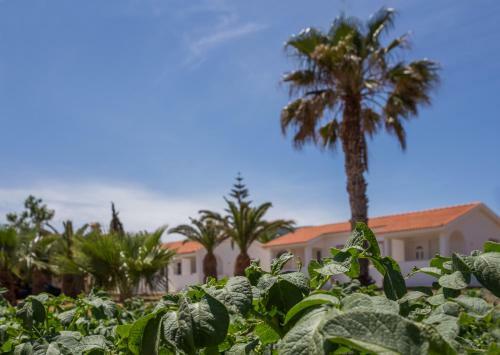 Apartamento Ambelakia Studios