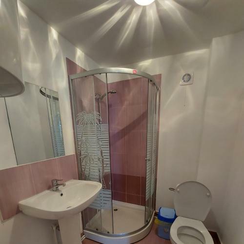 Hostal Pensiunea Boca Voronet