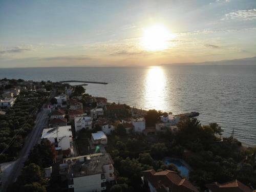Hostal Villa Angelos Suite