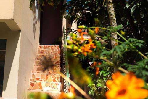 Hostal Pousada Montanha Sagrada