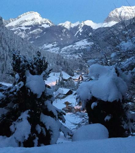 Chalet Les Erines