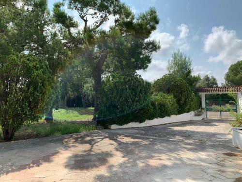 A Casa Di Alfredo Appartamenti In Villa