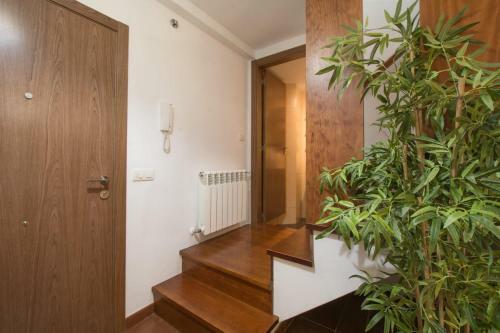Apartamento Duplex Entrada Independiente (ciudad Vieja)