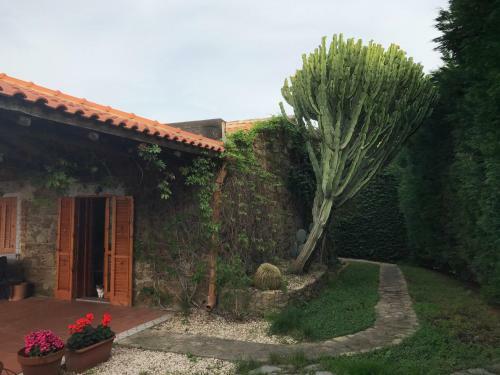 Hostal Stanza Di Giove