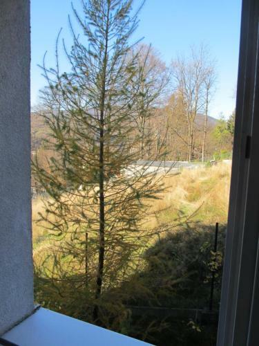 Hostal Czarna Owca