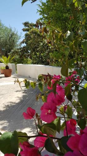 Tenuta Basile - Slow Live&homemade Food