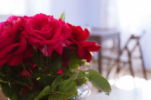 Bed & Breakfast Casa Azzurra Ostuni