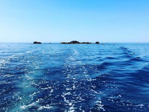 Cabanon Sur L Eau