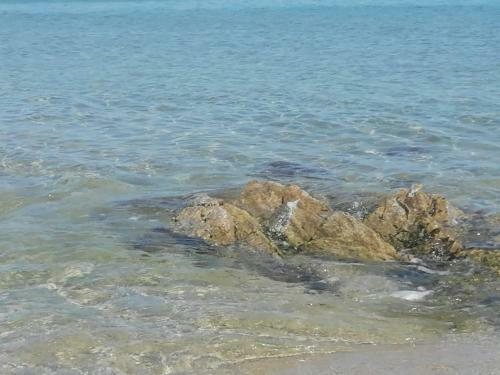 Sea Paradise