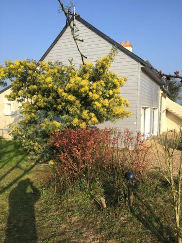 G�te Dans Le Vignoble De Bourgueil