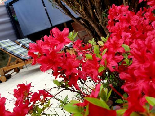 Apartamento L'h�te St�phanois
