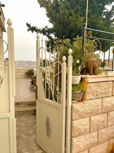 Bed & Breakfast Alp Holiday