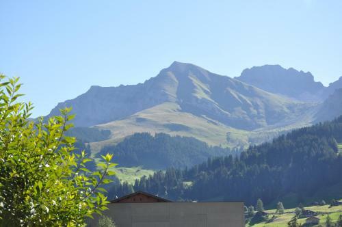 Apartamentos Chalet Allmegrat