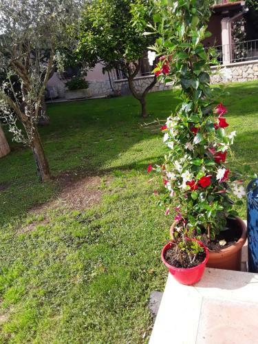Hostal B&B Il Bocciolo 2