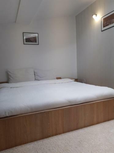 Hostal Casa Cu Flori