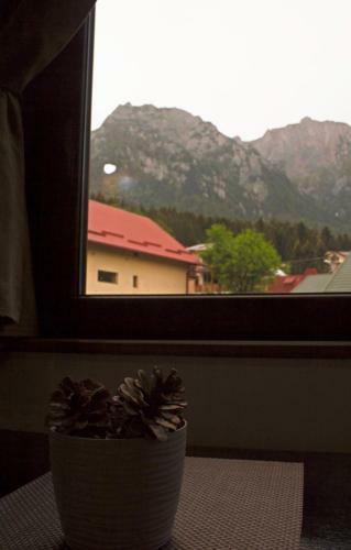 Apartament Mountain Life