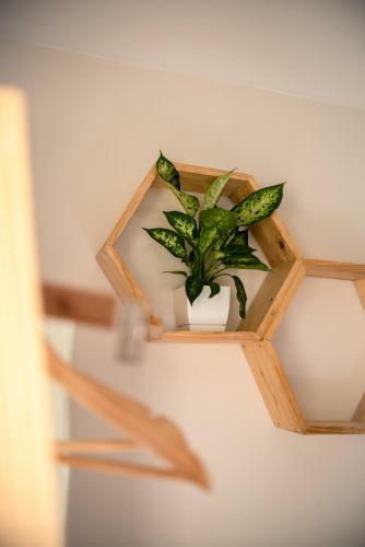 Family Nest