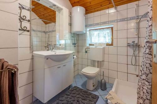 Holiday Home In Kostelj 39455