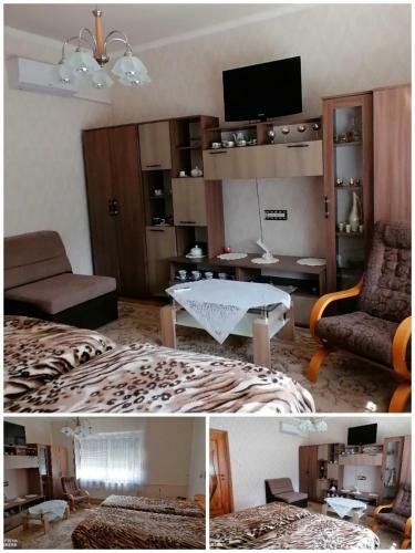 Hostal Vida Vend�gh�z
