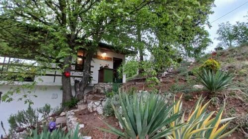Apartamento Vila Eva