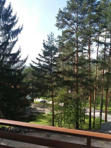 Apartman Sanja - Vila Pekovi?