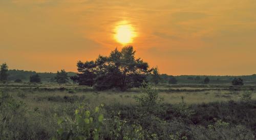 Glamping Nunspeet Veluwe