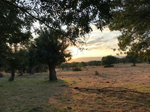 La Casa De Brieva