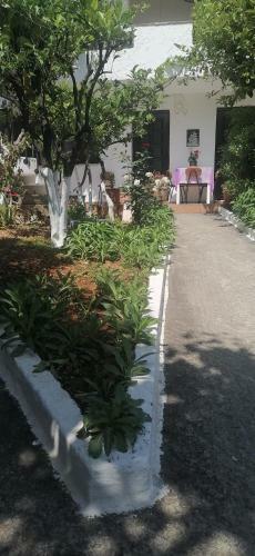 Apartamento Resort Village