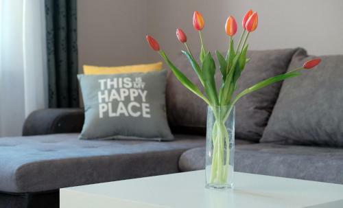 Apartmani Donata