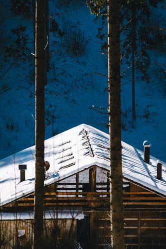 Apartamento L�rchenwirt Dolomites