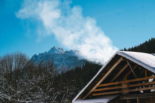 Apartamento L�rchenwirt Dolomites