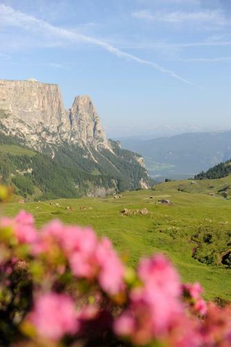 Agroturismo Apartments Schererhof