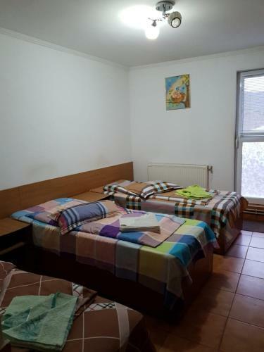 Hostal Pensiunea Lucica