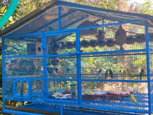 Agroturismo Coorg Rain Drop Farm Stay