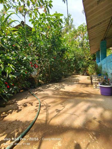 Agroturismo Coorg Rain Drop Farm Stay