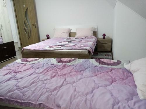 Hostal Agropensiunea Bella