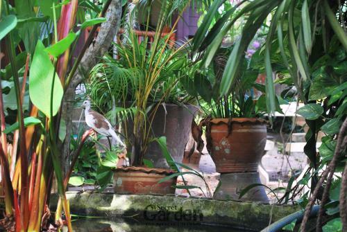 Hotel Secret Garden
