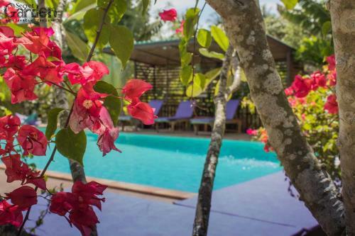 Hotel Secret Garden