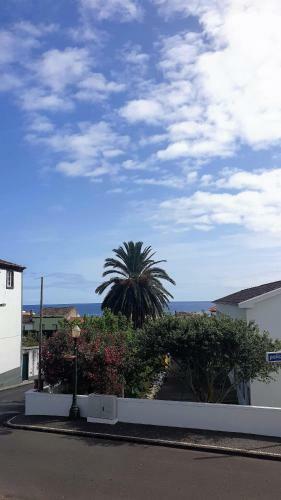 Apartamento Casa S. Pedro