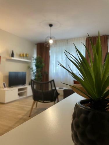 Apartamento Jerez 2022
