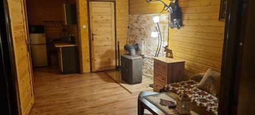 Lodge Domki Puchary Bieszczady