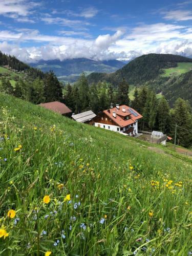 Ringgelinhof Onach