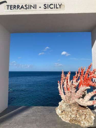 Hostal Le Lanterne Di Terrasini