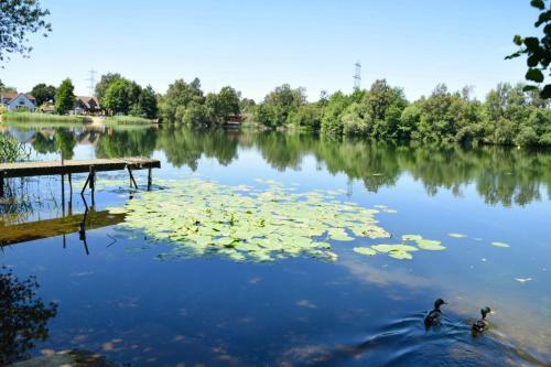 Pine Tree Lodge - Pentney Lakes