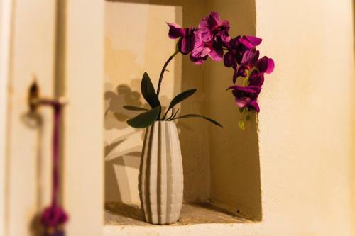 Apartamento City Jungle